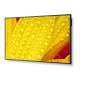 Sharp/NEC M551-2, 55" M-Series, LFD,